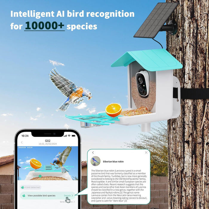 Smart Bird Feeder Camera G02 | solar panel