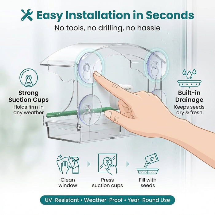 Window Bird Feeder installation with suction cups
