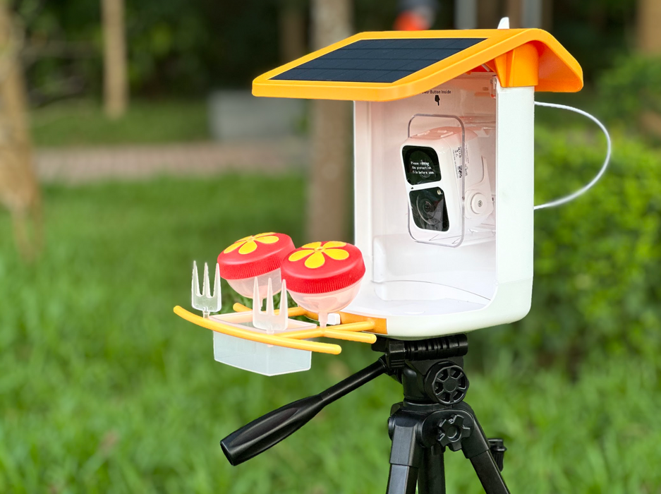 Smart Bird Feeder Camera G03 | solar panel