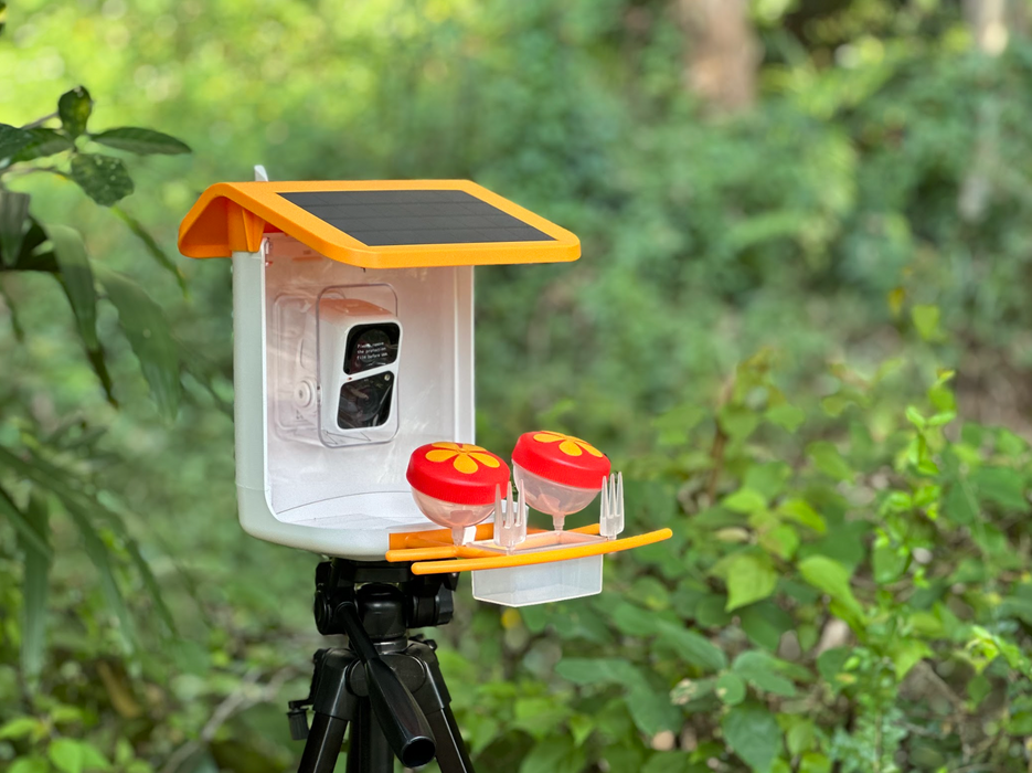 Smart Bird Feeder Camera G03 | solar panel