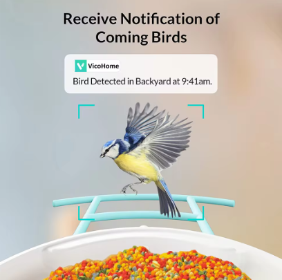 CG8 Free VicoHome App