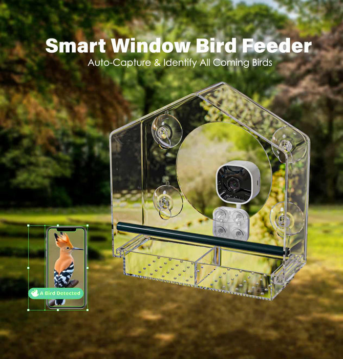 Smart Window Bird Feeder 001